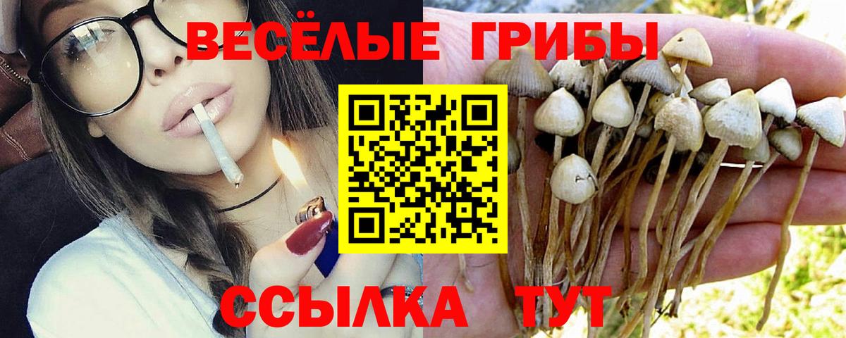 Псилоцибиновые грибы прущие грибы  как найти   Ижевск  Вход с VPN 