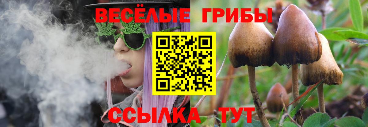 Псилоцибиновые грибы Cubensis Ижевск
